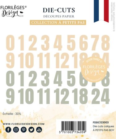 Florilèges Design - Collezione A PETITS PAS -  Die cuts vellum À PETITS PAS BOY