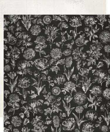 SIMPLE STORIES - COLLEZIONE  SIMPLE VINTAGE ESSENTIALS - BE CURIOUS