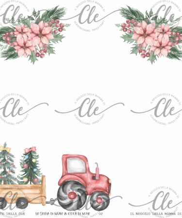 IL NEGOZIO DELLA MAMMA DI CLE - LE CARTE DELLA CLE - COLLEZIONE LA STORIA DI NATALE IN CERCA DI NOME - CARTA NUMERO 2