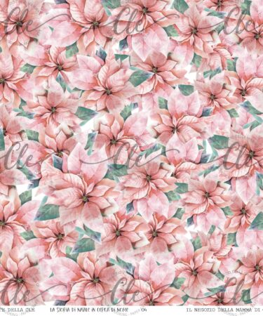 IL NEGOZIO DELLA MAMMA DI CLE - LE CARTE DELLA CLE - COLLEZIONE LA STORIA DI NATALE IN CERCA DI NOME - CARTA NUMERO 4