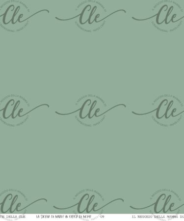 IL NEGOZIO DELLA MAMMA DI CLE - LE CARTE DELLA CLE - COLLEZIONE LA STORIA DI NATALE IN CERCA DI NOME - CARTA NUMERO 9