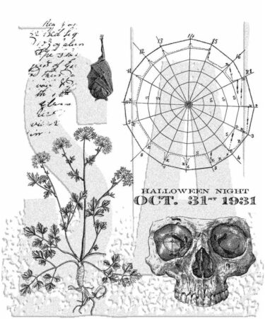 Tim Holtz Cling Stamps 7"X8.5" - Obscurity