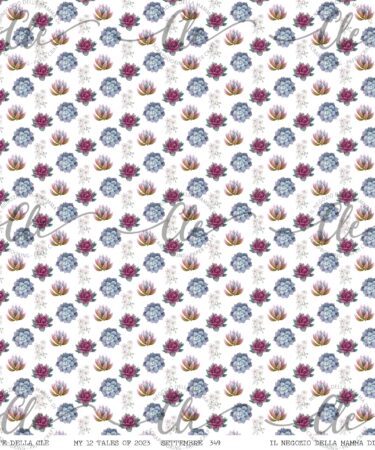 IL NEGOZIO DELLA MAMMA DI CLE - LE CARTE DELLA CLE - MY 12 TALES OF 2023 SETTEMBRE NUM. 349