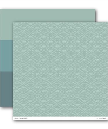 Tommy Art - double face paper - Happy Fall 8