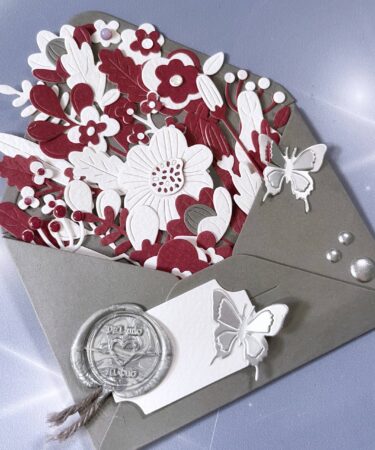 ENVELOPE OF WONDER-LA FUSTELLA DELLA SPELLBINDERS- PRODOTTO CONTENITORE