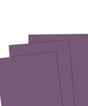 TAYLORED EXPRESSIONS - TE Premium Cardstock - Huckleberry