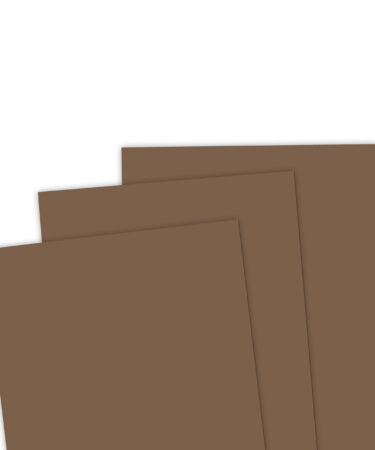 TAYLORED EXPRESSIONS - TE Premium Cardstock - Cinnamon