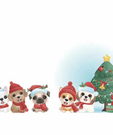 IL NEGOZIO DELLA MAMMA DI CLE – CALENDARIO DELL’AVVENTO 2023 -GIORNO 28