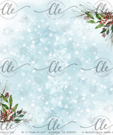 LE CARTE DELLA CLE – MY 12 TALES OF 2023 – DICEMBRE  - ACETATO NUM 391