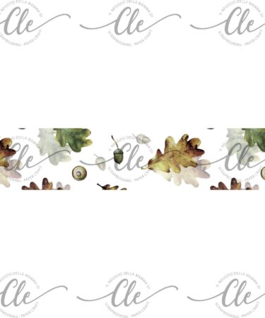 IL NEGOZIO DELLA MAMMA DI CLE - GLI ABBELLIMENTI DELLA CLE – MY 12 TALES OF 2023 - WASHI TAPE  NOVEMBRE