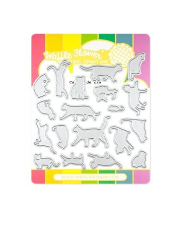 WAFFLE FLOWER - fustelle Cattitude