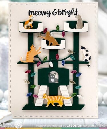 Alternative view of WAFFLE FLOWER - fustelle Cattitude