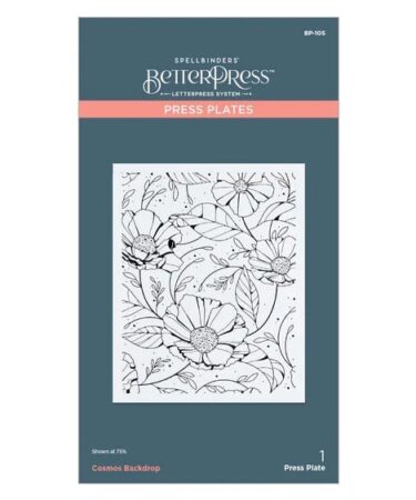 SPELLBINDERS - Cosmos Backdrop Press Plate