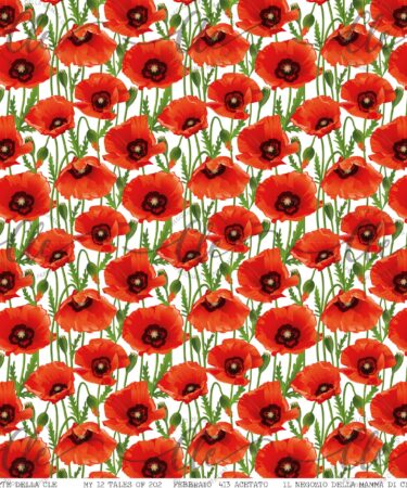 LE CARTE DELLA CLE – MY 12 TALES OF 2024 – FEBBRAIO - ACETATO NUM 413