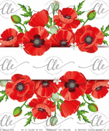 LE CARTE DELLA CLE – MY 12 TALES OF 2024 –FEBBRAIO  - VELLUM NUM 412