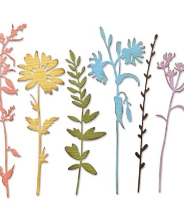 Sizzix Thinlits Die by Tim Holtz Vault Wildflowers (6pcs)