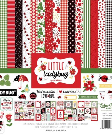 ECHO PARK -Little Ladybug 12x12 Inch Collection Kit