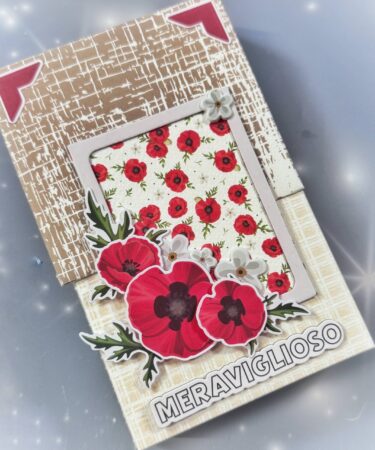 UN PICCOLO MINI  CON LA COLLEZIONE DI FEBBRAIO- PRODOTTO CONTENITORE