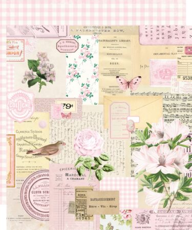 SIMPLE STORIES - Collezione Simple Vintage Essentials Color Palette - Blush Collage