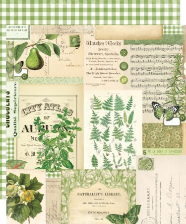 SIMPLE STORIES - Collezione Simple Vintage Essentials Color Palette - Green Collage