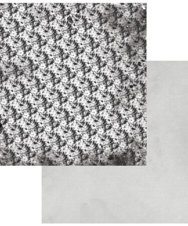 49 and Market - Color Swatch: Collezione Charcoal Double-Sided Cardstock 12"X12"- #5