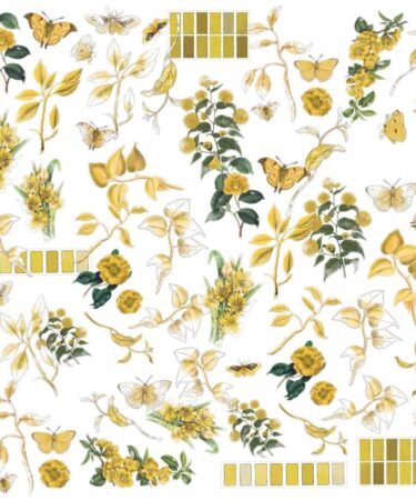 Alternative view of 49 AND MARKET Color Swatch: Collezione Ochre- Acetate Assortment-64/Pkg