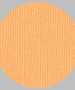 IL NEGOZIO DELLA MAMMA DI CLE- I CARTONCINI BASIC- TEXTURE – 12X12 POLLICI- ALBICOCCA