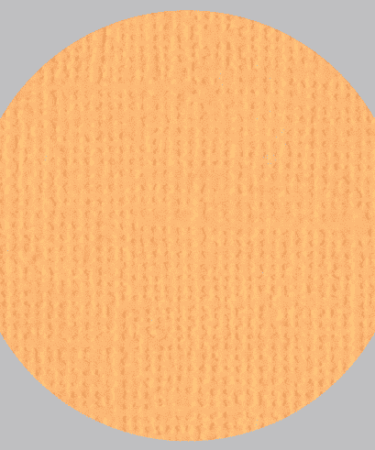 IL NEGOZIO DELLA MAMMA DI CLE- I CARTONCINI BASIC- TEXTURE – 12X12 POLLICI- ALBICOCCA