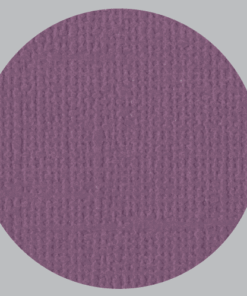 IL NEGOZIO DELLA MAMMA DI CLE- I CARTONCINI BASIC- TEXTURE – 12X12 POLLICI- PRUGNA