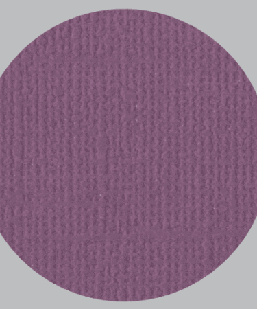 IL NEGOZIO DELLA MAMMA DI CLE- I CARTONCINI BASIC- TEXTURE – 12X12 POLLICI- PRUGNA