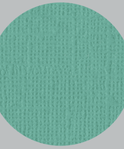 IL NEGOZIO DELLA MAMMA DI CLE- I CARTONCINI BASIC- TEXTURE – 12X12 POLLICI- VERDE LAGO