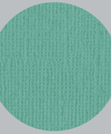 IL NEGOZIO DELLA MAMMA DI CLE- I CARTONCINI BASIC- TEXTURE – 12X12 POLLICI- VERDE LAGO
