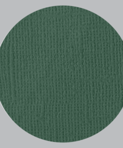 IL NEGOZIO DELLA MAMMA DI CLE- I CARTONCINI BASIC- TEXTURE – 12X12 POLLICI- VERDE PINO