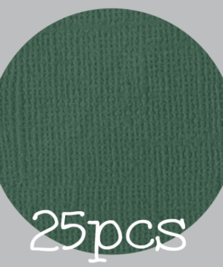IL NEGOZIO DELLA MAMMA DI CLE- I CARTONCINI BASIC- TEXTURE – 12X12 POLLICI-PACCO DA 25 - VERDE PINO