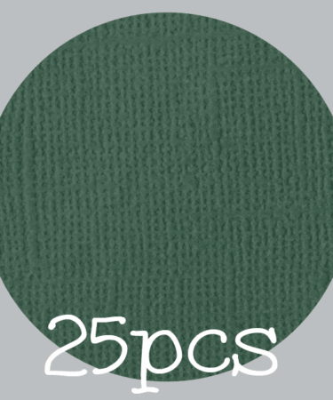 IL NEGOZIO DELLA MAMMA DI CLE- I CARTONCINI BASIC- TEXTURE – 12X12 POLLICI-PACCO DA 25 - VERDE PINO