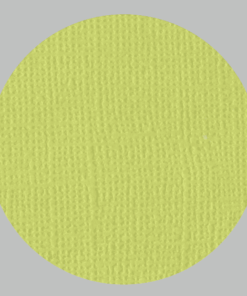 IL NEGOZIO DELLA MAMMA DI CLE- I CARTONCINI BASIC- TEXTURE – 12X12 POLLICI- VERDE ACIDO