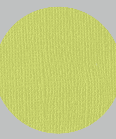 IL NEGOZIO DELLA MAMMA DI CLE- I CARTONCINI BASIC- TEXTURE – 12X12 POLLICI- VERDE ACIDO