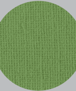 IL NEGOZIO DELLA MAMMA DI CLE- I CARTONCINI BASIC- TEXTURE – 12X12 POLLICI- VERDE PRATO