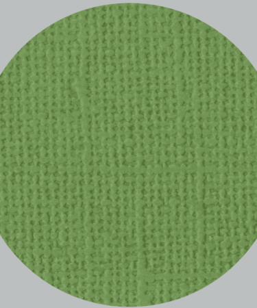 IL NEGOZIO DELLA MAMMA DI CLE- I CARTONCINI BASIC- TEXTURE – 12X12 POLLICI- VERDE PRATO