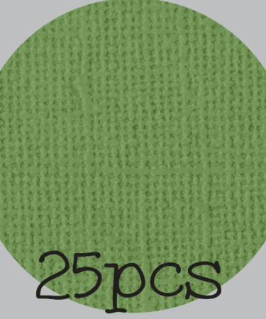 IL NEGOZIO DELLA MAMMA DI CLE- I CARTONCINI BASIC- TEXTURE – 12X12 POLLICI-PACCO DA 25 - VERDE PRATO