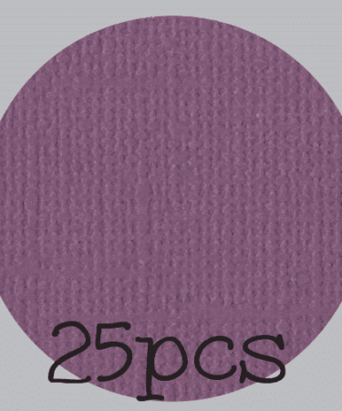 IL NEGOZIO DELLA MAMMA DI CLE- I CARTONCINI BASIC- TEXTURE – 12X12 POLLICI-PACCO DA 25 - PRUGNA