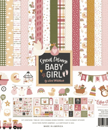 ECHO PARK Special Delivery Baby Girl 12x12 Inch Collection Kit