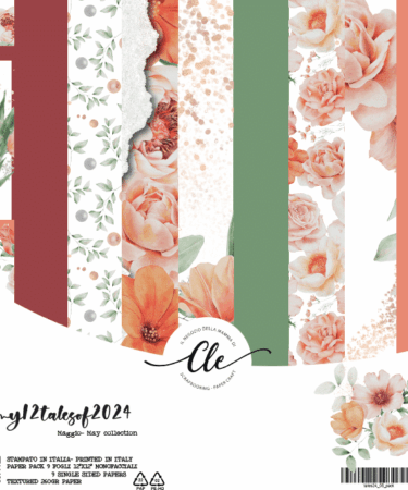 IL NEGOZIO DELLA MAMMA DI CLE - LE CARTE DELLA CLE - MY 12 TALES OF 2024 - MAGGIO - PAPER PACK