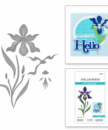SPELLBINDERS - Layered Iris Etched Dies