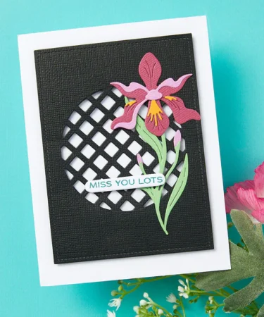 Alternative view of SPELLBINDERS - Layered Iris Etched Dies