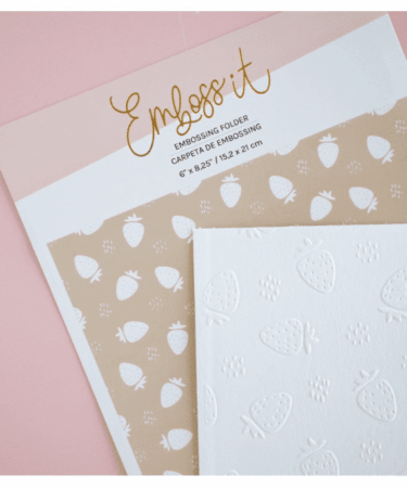LORA BAILORA - Carpeta de embossing 6"x 8,25" FRESITAS