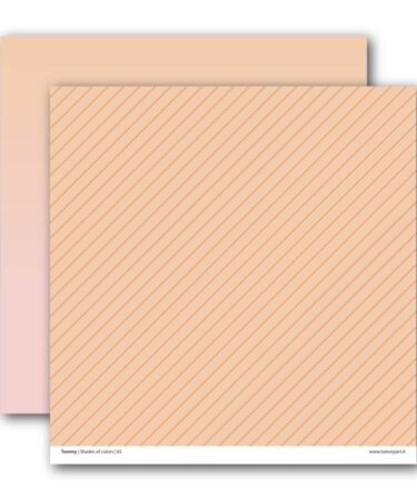 TOMMY ART - Tommy double face paper - Shades of colors N.2