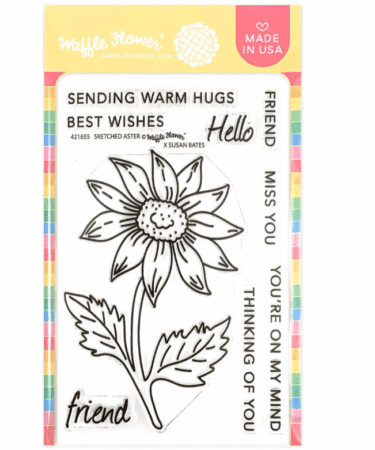 WAFFLE FLOWER - Sketched Aster Stamp Set