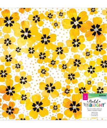 Vicki Boutin - Collezione Bold And Bright - Specialty Paper 12"X12" Acetate