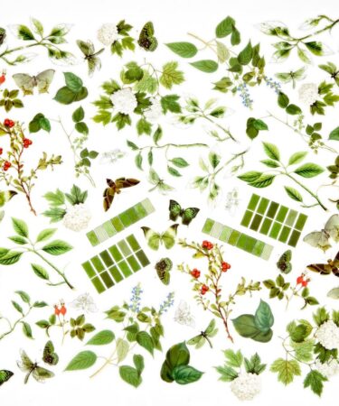 Alternative view of 49 and MARKET - Color Swatch: - Collezione Willow - Willow Acetate Assortment